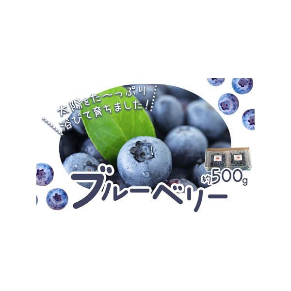 ■ 容量　約500g■ 配送について　2026年6月上旬-8月下旬頃出荷　タイプ：【冷蔵】