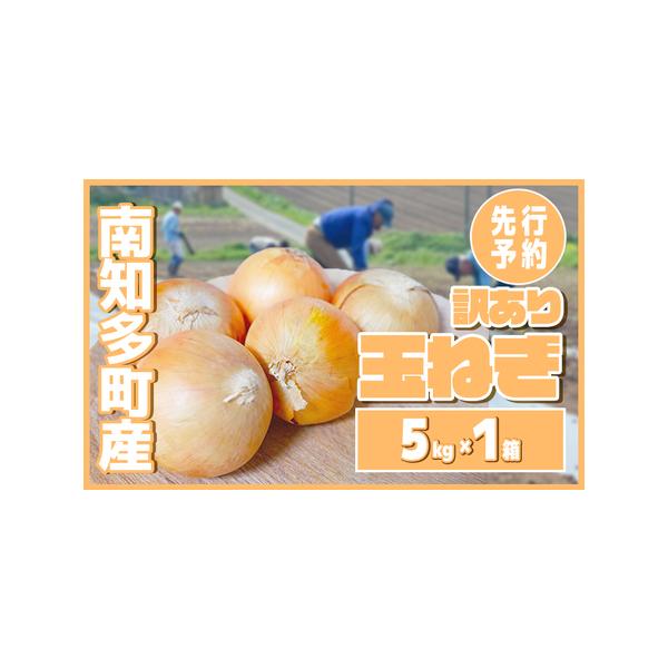 ■ 容量　南知多町産 玉ねぎ 5kg×1箱■ 配送について　2026年の5-6月より準備でき次第、順次出荷予定　※配送不可地域：北海道・沖縄県・離島　タイプ：【常温】