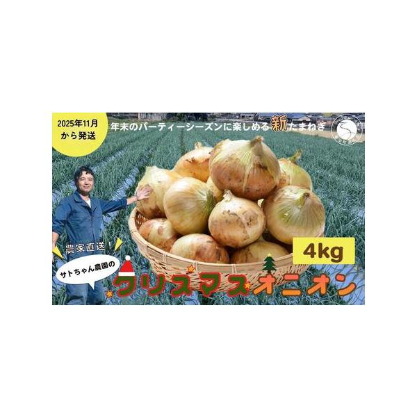 ■ 容量　1箱　内容量：約4キロ　　【保存方法】箱から出して風通しのいい容器に入れるか、箱のふたを開けた状態で直射日光を避け常温で保温してください。　■ 配送について　2025年11月より順次発送致します。　（申し込み状況や時期により更にお...