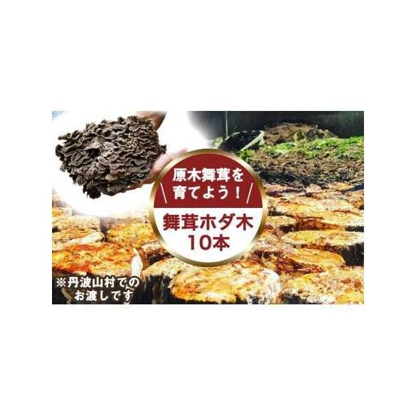 ■ 容量　舞茸のほだ木　10本■ 配送について　■配送方法■　お引き取り　　■配送について■　丹波山村に取りに来られる方限定、現地にて段ボールに入れてのお渡しとなります。　お渡し時期は2026年6月頃の予定です。　※具体的な時期や場所は事業...