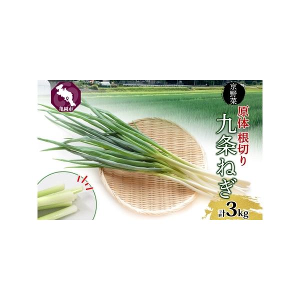 ■ 容量　九条葱 3kg■ 配送について　1ヶ月程度で発送予定　タイプ：【冷蔵】