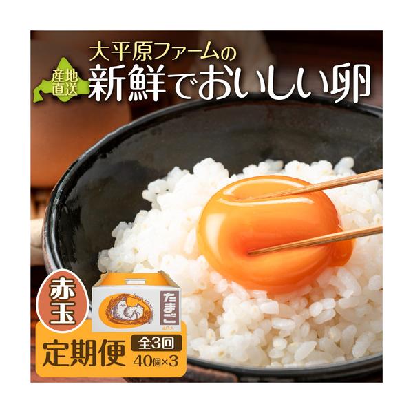 ふるさと納税 【3回定期便】大平原ファームの新鮮でおいしい卵 計40個(赤卵)×3ヶ月【北海道 清水 卵 120個 赤卵 こだわり卵 赤卵 卵かけご.. 北海道清水町
