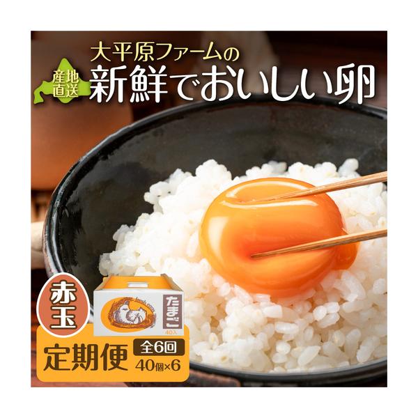 ふるさと納税 【6回定期便】大平原ファームの新鮮でおいしい卵 計40個(赤卵)×6ヶ月【北海道 清水 卵 赤卵 240個 こだわり卵 卵かけご飯 玉.. 北海道清水町