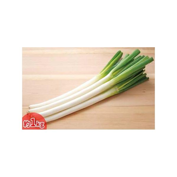 ■ 容量　今金産軟白長ねぎ（約1kg）　タイプ：【常温】