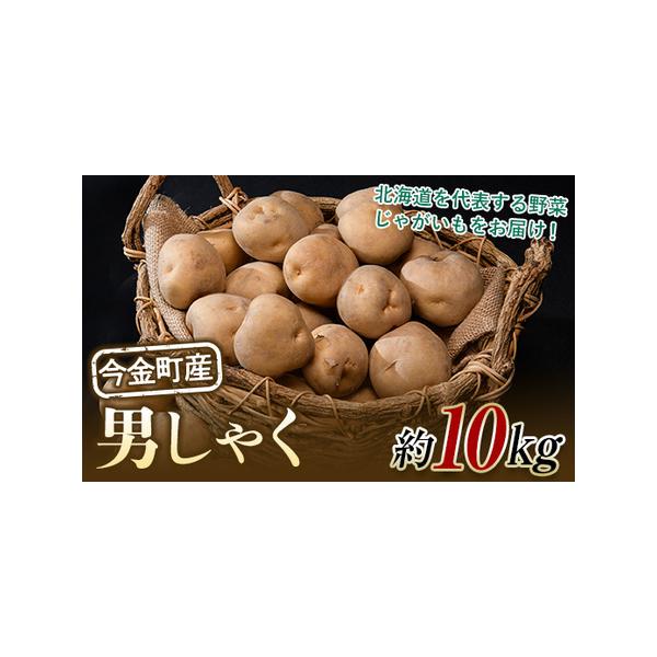 ■ 容量　約10kg（Mサイズ）■ 配送について　2026年10月21日〜2027年3月20日　タイプ：【常温】