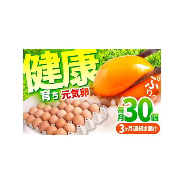 ふるさと納税 【3ヶ月定期便 】元気卵 30個 [AMBH002] 卵 三重県亀山市