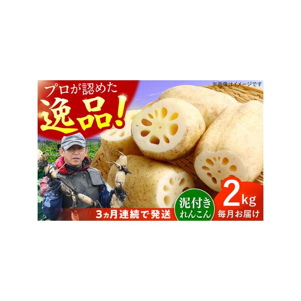 ■ 容量　れんこん：計6kg 2kg×3回（L-2Lサイズ）　※6-12節入り（節数は前後する場合がございます。）　※鮮度を保つため、れんこんは泥付きの状態でお送りいたします。　　新鮮なれんこんをお楽しみください。■ 配送について　2026...