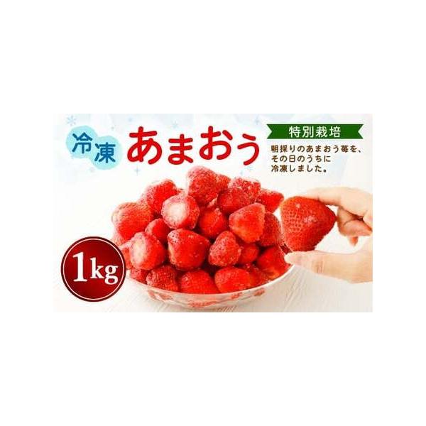 ふるさと納税 【特別栽培】うるう農園 冷凍あまおう 1kg【2025年 ふるさと納税 【特別栽培】うるう農園 冷凍あまおう 1kg【2025年