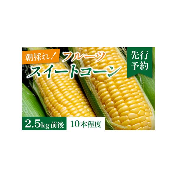 ■ 容量　□容量　とうもろこし　2.5kg前後（10本程度）　　□消費期限　到着日より３日以内　　□原材料　とうもろこし■ 配送について　2026年7月より順次発送　　※GW/お盆/年末年始休業日は発送までの日数には含まれません。　※大幅に...
