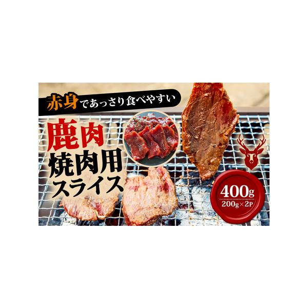■ 容量　400g（200g×2）■ 配送について　※決済からお届けまで180日以上お待ちいただく可能性がございます。予めご了承の上ご寄附をお願いいたします。　タイプ：【冷凍】