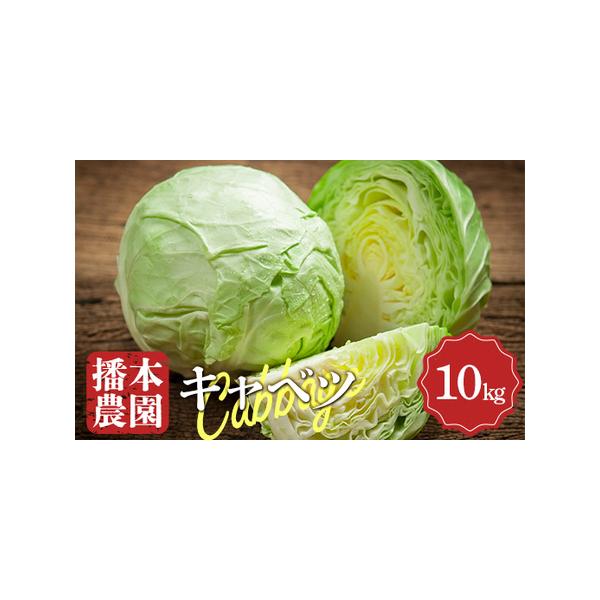 ■ 容量　播本農園のキャベツ 10kg　タイプ：【冷蔵】