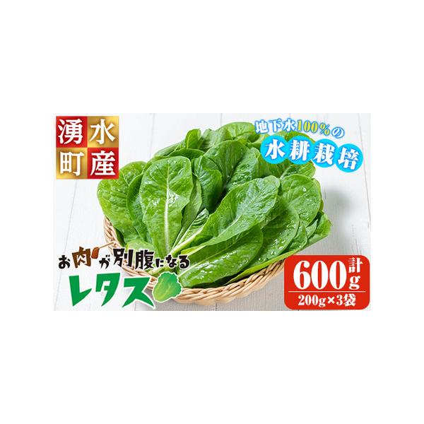 ■ 容量　ロメインレタス計600g(200g×3袋)■ 配送について　入金確認後、1ヵ月以内に発送予定　※配送日時の指定は出来かねますので、ご了承くださいませ。　※お申込みが集中した場合や、年末年始（11月〜翌年2月）を含む繁忙期には、通常...