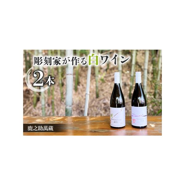 ふるさと納税 【鹿之助萬蔵】彫刻家がつくる白ワイン2種飲み比べ（2