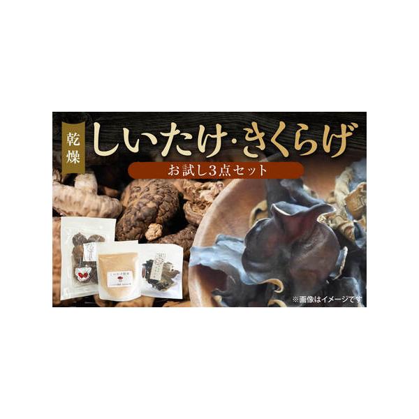 ■ 容量　1セット■ 配送について　決済から30日前後でお届け　タイプ：【常温】