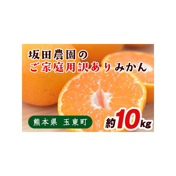 ふるさと納税 みかん ご家庭用 約10kg 坂田農園 みかん 熊本県玉東町