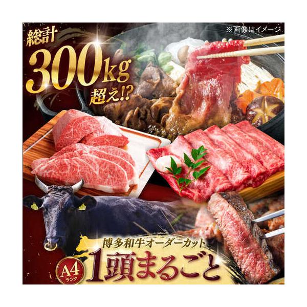 furunavi_1328833