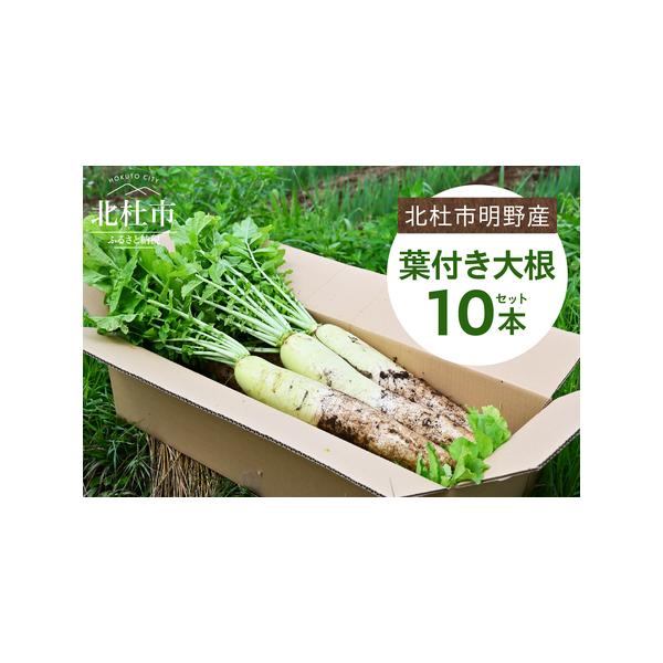 ■ 容量　北杜市明野産「葉付き大根」×10本セット　　【賞味期限】　出荷日から5日　　【申込可能な期間】　〜2026年11月30日まで　※ 収穫状況により前後する可能性があります。　　【関連ワード】　葉付き 大根 10本 セット 野菜 10...
