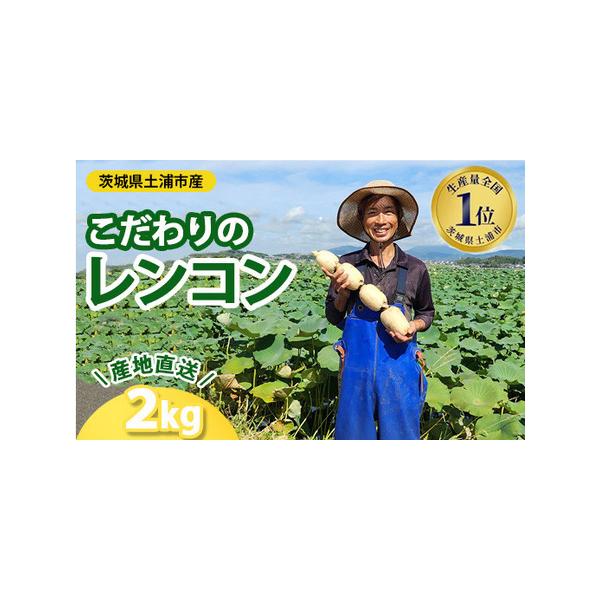 ■ 容量　レンコン2kg　■ 配送について　2025年9月上旬頃より順次発送予定　　タイプ：【冷蔵】