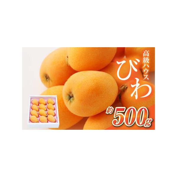 ■ 容量　ハウスびわ 約500g×1箱　（8玉〜12玉入り、大きさにより数は前後します）■ 配送について　2026年4月上旬より順次発送予定　※天候や発送状況により多少前後する場合がございますので、予めご了承ください。　タイプ：【常温】