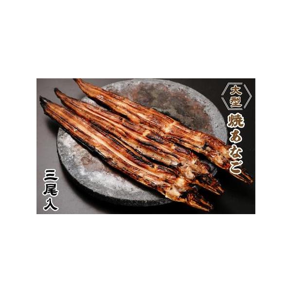 ■ 容量　大型焼あなご　3尾　製造地：和泉水産商店　神戸市兵庫区今出在家2丁目3-3　【賞味期限】　製造日より60日　【保存方法】冷凍　【アレルギー】　小麦、大豆　※ 表示内容に関しては各事業者の指定に基づき掲載しており、一切の内容を保証す...