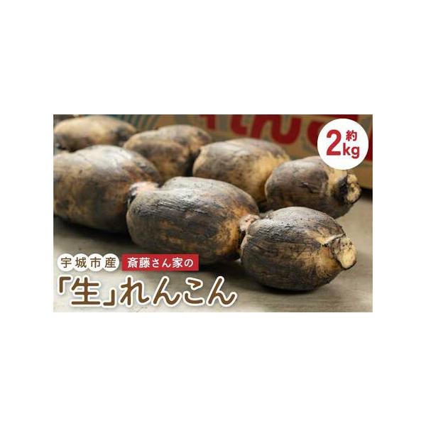 ■ 容量　約2kg（約2〜3本 節数：8〜10節）■ 配送について　2025年9月上旬?2026年3月上旬頃 順次発送予定　タイプ：【冷蔵】