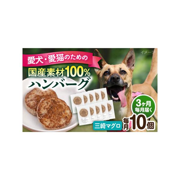 ■ 容量　下記の内容量を月1回発送いたします。　・三崎マグロハンバーグ：10個（1個30g前後）　■ 配送について　ご入金いただいた翌月から毎月1回、定期便の数に合わせて発送いたします。　タイプ：【冷凍】【定期】