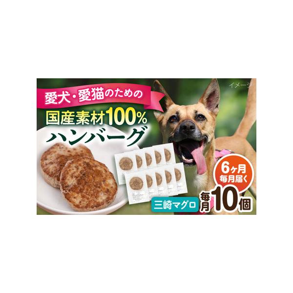 ■ 容量　下記の内容量を月1回発送いたします。　・三崎マグロハンバーグ：10個（1個30g前後）　■ 配送について　ご入金いただいた翌月から毎月1回、定期便の数に合わせて発送いたします。　タイプ：【冷凍】【定期】