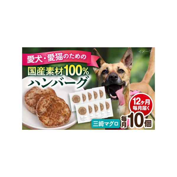 ■ 容量　下記の内容量を月1回発送いたします。　・三崎マグロハンバーグ：10個（1個30g前後）　■ 配送について　ご入金いただいた翌月から毎月1回、定期便の数に合わせて発送いたします。　タイプ：【冷凍】【定期】