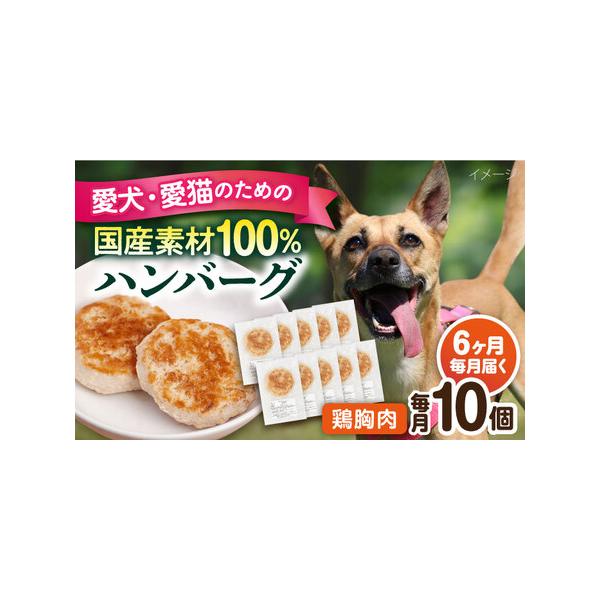 ■ 容量　下記の内容量を月1回発送いたします。　・鶏むねハンバーグ：10個（1個30g前後）　■ 配送について　ご入金いただいた翌月から毎月1回、定期便の数に合わせて発送いたします。　タイプ：【冷凍】【定期】