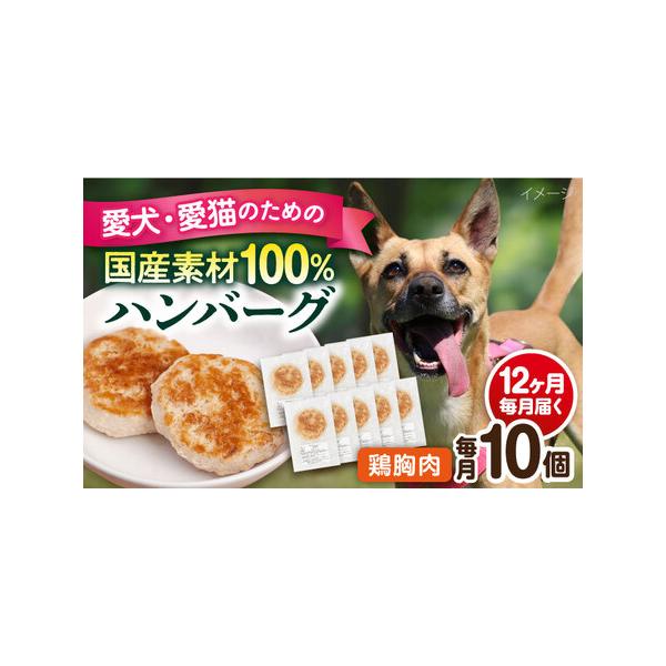 ■ 容量　下記の内容量を月1回発送いたします。　・鶏むねハンバーグ：10個（1個30g前後）　■ 配送について　ご入金いただいた翌月から毎月1回、定期便の数に合わせて発送いたします。　タイプ：【冷凍】【定期】