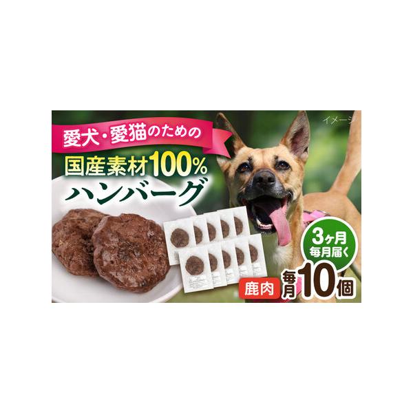 ■ 容量　下記の内容量を月1回発送いたします。　・鹿肉ハンバーグ：10個（1個30g前後）　■ 配送について　ご入金いただいた翌月から毎月1回、定期便の数に合わせて発送いたします。　タイプ：【冷凍】【定期】