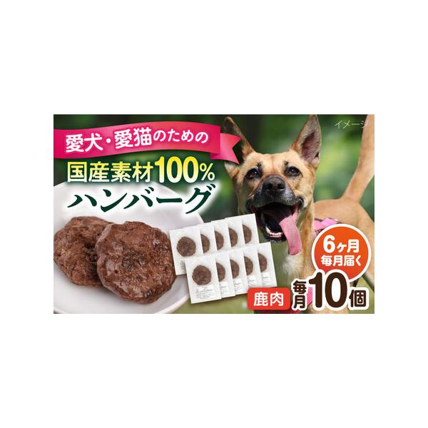 ■ 容量　下記の内容量を月1回発送いたします。　・鹿肉ハンバーグ：10個（1個30g前後）　■ 配送について　ご入金いただいた翌月から毎月1回、定期便の数に合わせて発送いたします。　タイプ：【冷凍】【定期】