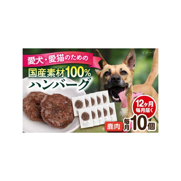 ■ 容量　下記の内容量を月1回発送いたします。　・鹿肉ハンバーグ：10個（1個30g前後）　■ 配送について　ご入金いただいた翌月から毎月1回、定期便の数に合わせて発送いたします。　タイプ：【冷凍】【定期】