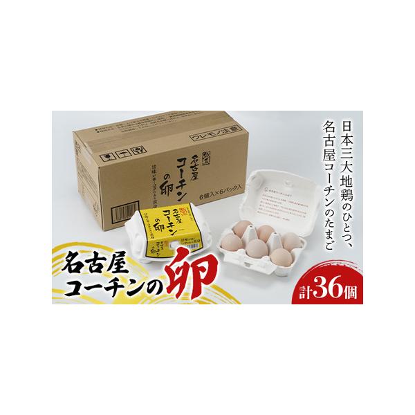 ふるさと納税 名古屋コーチンの卵 36個 卵 生卵 名古屋コーチン 桜吹雪 新鮮 石井養鶏場 F23R-878 福島県白河市