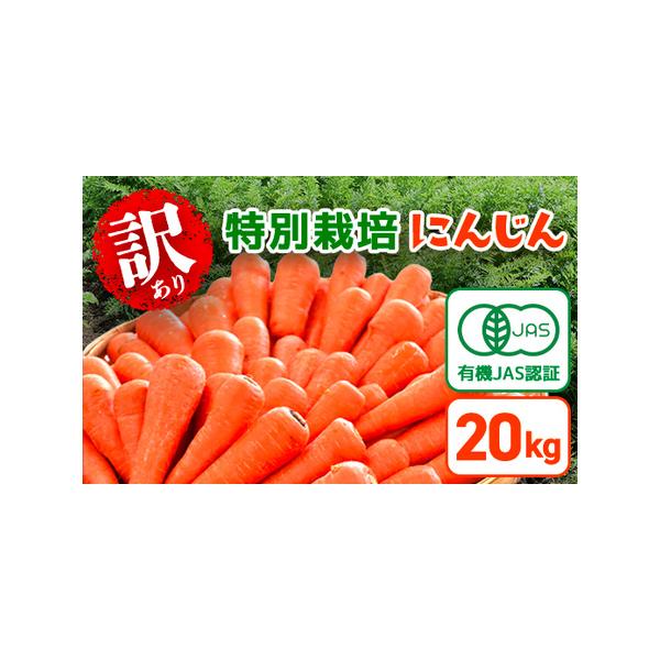 ■ 容量　にんじん20kg（10kg×2箱）　※訳あり品になります。割れや折れ、サイズ不揃い等が混じることがございます。ご理解の上、ご寄附をお願いいたします。　　原産地：千葉県山武市■ 配送について　【発送期間】　12月〜2月　※天候・生育...