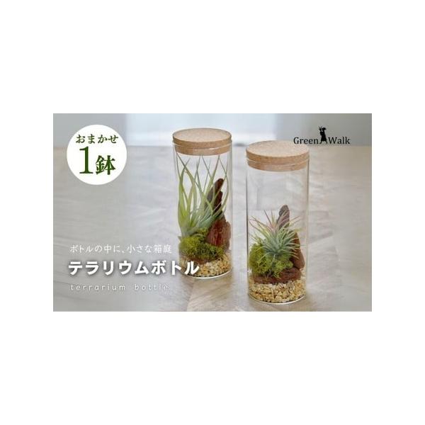 ■ 容量　器：W8.6×H20ｃｍ■ 配送について　ご入金確認から2週間〜2カ月程度　※以下の期間、地域は発送不可となりますのでご了承ください。発送可となった時点で速やかにお送りいたします。　【配送不可期間と地域】　12月1日〜3月31日　...