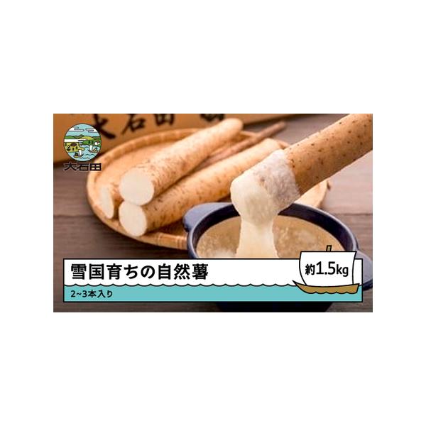 ■ 容量　大石田町産 自然薯 約1.5kg(2~3本入り)　※1本あたりの重量にバラつきがあるため、入数は目安になります。予めご了承ください。■ 配送について　ご入金確認後、2週間程度で発送となります。　※時期によってお届けにお時間を要する...