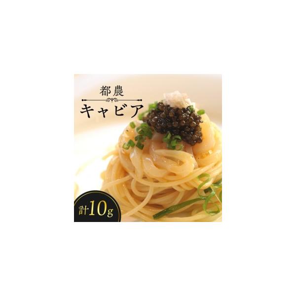 ふるさと納税 【2週間以内発送】都農キャビア(計10g) 魚 魚介 魚卵 国産_T047-0015 宮崎県都農町