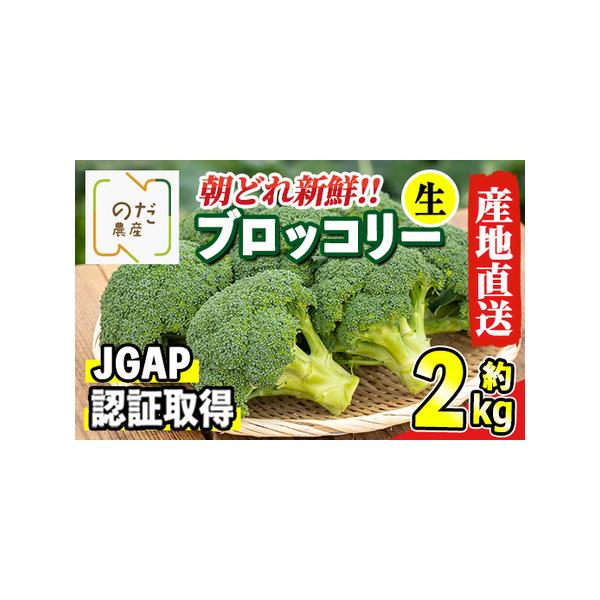 ■ 容量　ブロッコリー(生)　約2kg　サイズ：M、L■ 配送について　2025年12月上旬〜2026年4月下旬の間に発送予定　タイプ：【冷蔵】