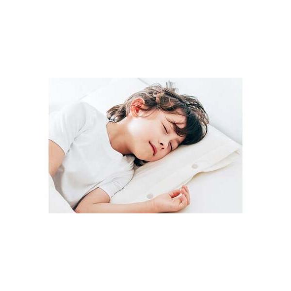 ふるさと納税 ブレインスリープ ピロー フォー キッズ ＋ カバー / 枕
