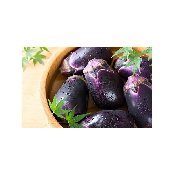 ■ 容量　大阪泉州名産水ナス【生】10個入り　【賞味期限】　採りたての新鮮なものを発送いたしますので、到着後はなるべく早くお召し上がりください。　【保存方法】　到着後は箱から出し、濡らしたキッチンペーパーや新聞などで包み、冷暗所で保管してく...