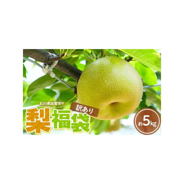 ■ 容量　約5kg　（新水・なつしずく・幸水・豊水・あきづき・新高・新興・愛宕 ）の中から旬の１種類をお届け　　タイプ：【常温】