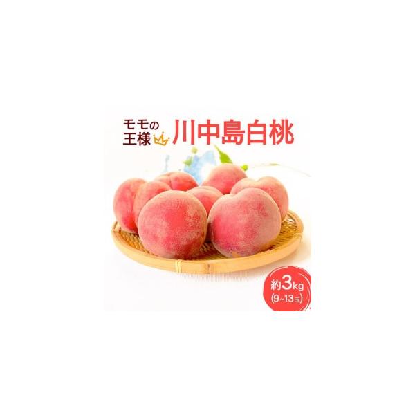 ふるさと納税 《先行受付！8月中旬より順次発送》モモの王様 川中島白桃 約3kg（9〜13玉前後） 秋田県横手市