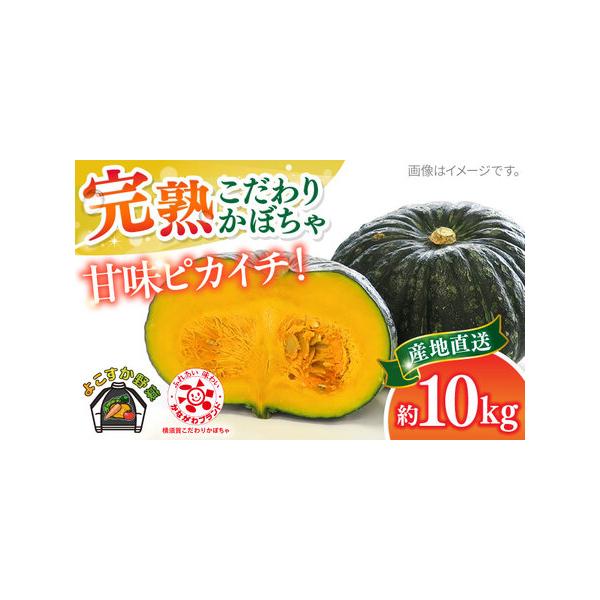 ■ 容量　こだわりかぼちゃ 約10kg■ 配送について　ご入金確認後、2026年7月中旬から2026年8月下旬までに順次発送いたします。　※生育状況により前後する可能性があります。　※配達日時の指定を承っておりません。準備でき次第、順次発送...