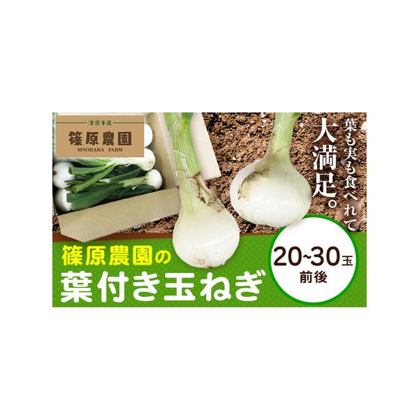 ■ 容量　20〜30玉前後■ 配送について　1月上旬-3月上旬頃出荷　タイプ：【常温】