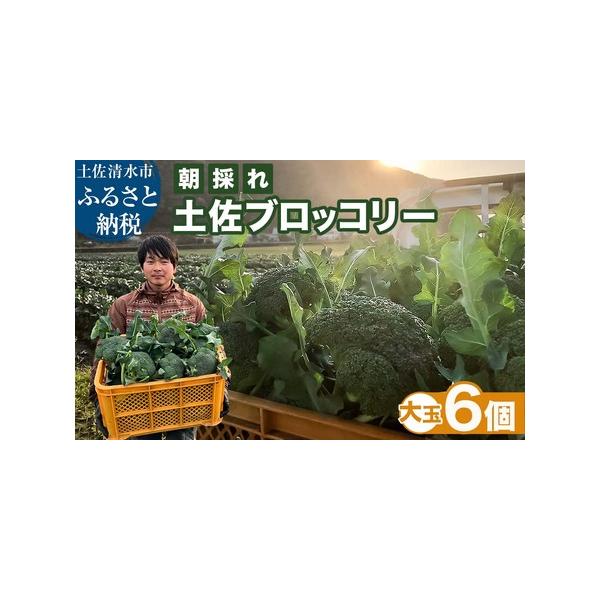 ■ 容量　【容量】　ブロッコリー　大玉6個　★農家のオススメ専用レシピ付き　　【消費期限】　出荷日より冷蔵で２〜３日（※それ以降は冷凍してお召し上がりください。）　※ブロッコリーは常温保存できかねます。必ず冷蔵庫に入れ、冷蔵でも２〜３日以上...
