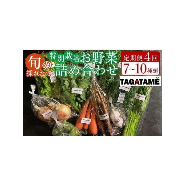 ■ 容量　【全4回】お届けいたします。　1回あたり 野菜・ハーブなど 7〜10種類　（※内容は時期によって異なり、おまかせとなります。ご了承ください。）　【賞味期限】　冷蔵保存で発送日より5日間■ 配送について　初回のみ寄附入金確認後2週間...