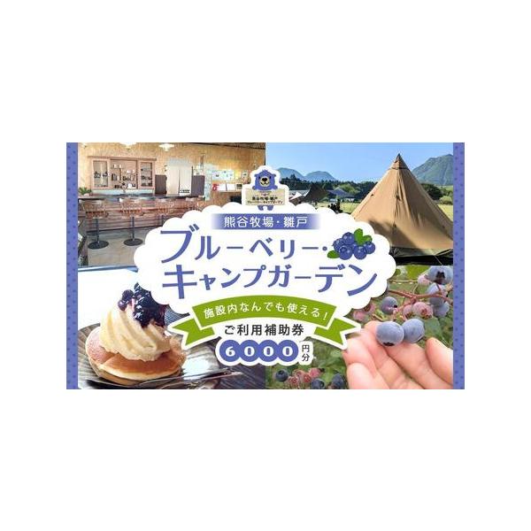 ■ 容量　ブルーベリー・キャンプガーデン ご利用補助券 6,000円分　＜利用可能な体験・施設＞　・貸し切りキャンプ　・ブルーベリー摘み体験　・山カフェ　雛戸　【有効期限】　チケット発行日から1年間■ 配送について　入金確認後、2週間以内に...