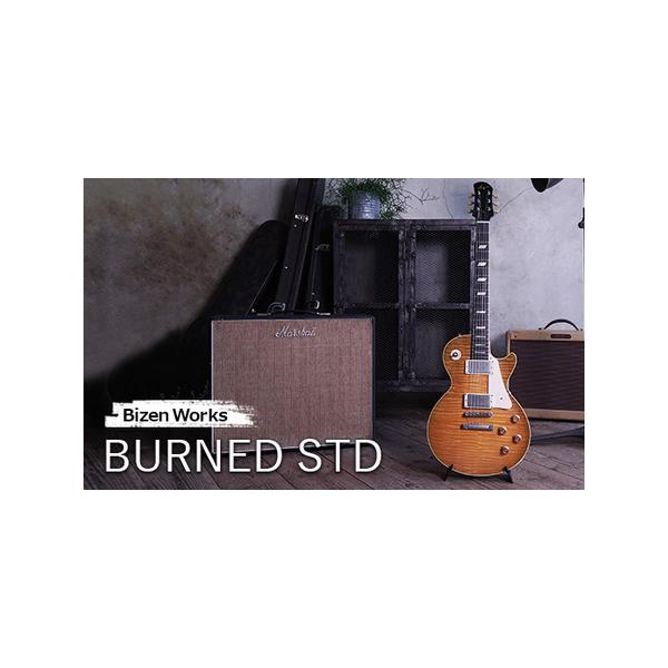 ■ 容量　数量　１点　本体重量　約 4.0kg　スケール　625ｍｍ　フレット数　22　　【基本スペック】　　Body: Arched Selected Maple / Honduras Mahogany　　Neck: Honduras M...