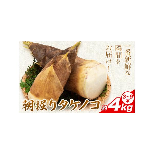 ■ 容量　約4kg(3-9本)■ 配送について　2026年4月上旬-4月下旬頃出荷　タイプ：【冷蔵】